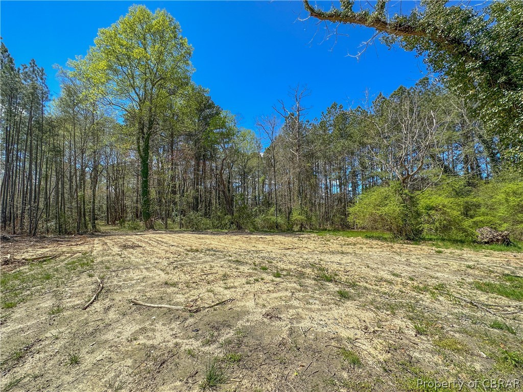 1414 Wake Road Wake, VA 23176 - Photo 24 of 27 Gallery Image 24