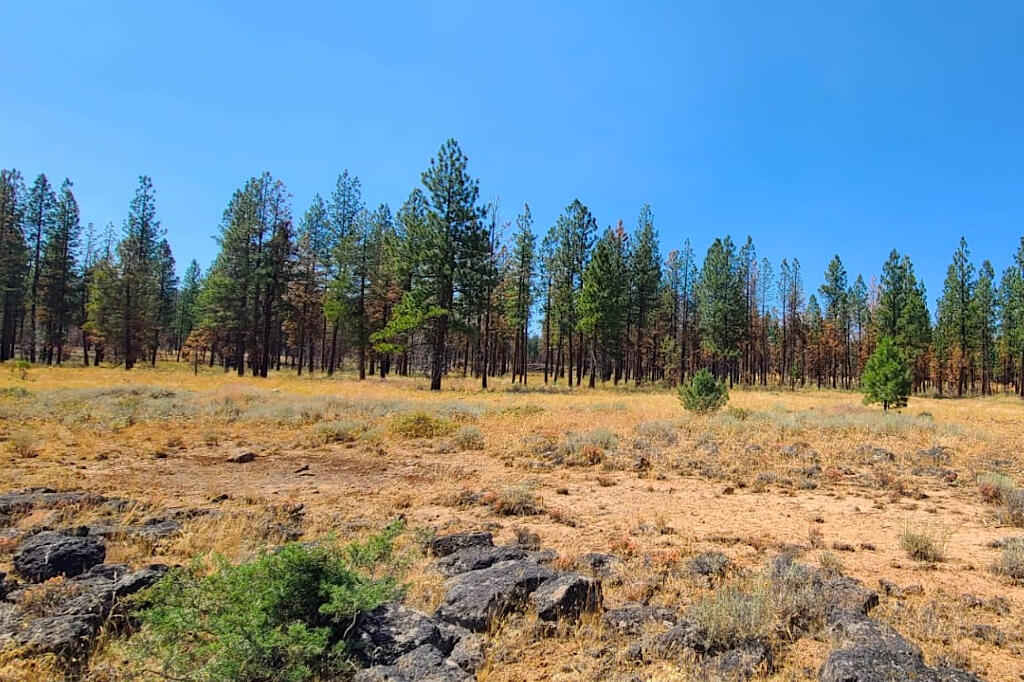 0 Oregon Pines Road Chiloquin, OR 97624 - Photo 16 of 16 15