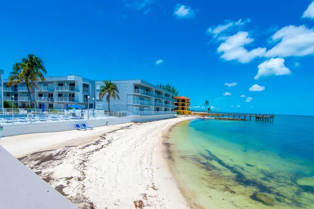 a view of a swimming pool with a garden