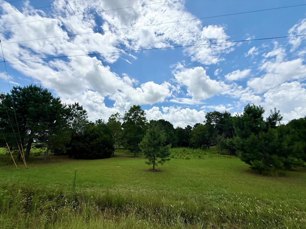 490 Bill Yance Road Webb, AL 36376 - Photo 8 of 10