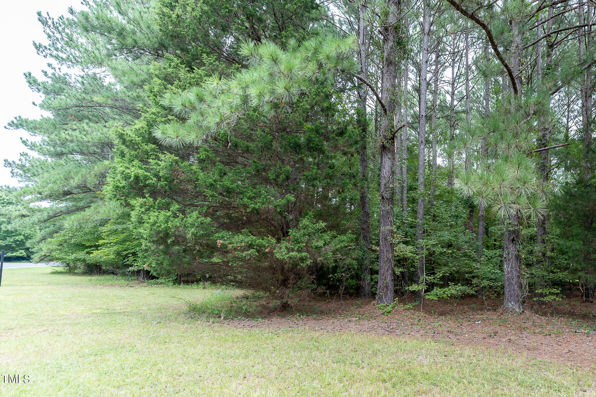 DSC02737
