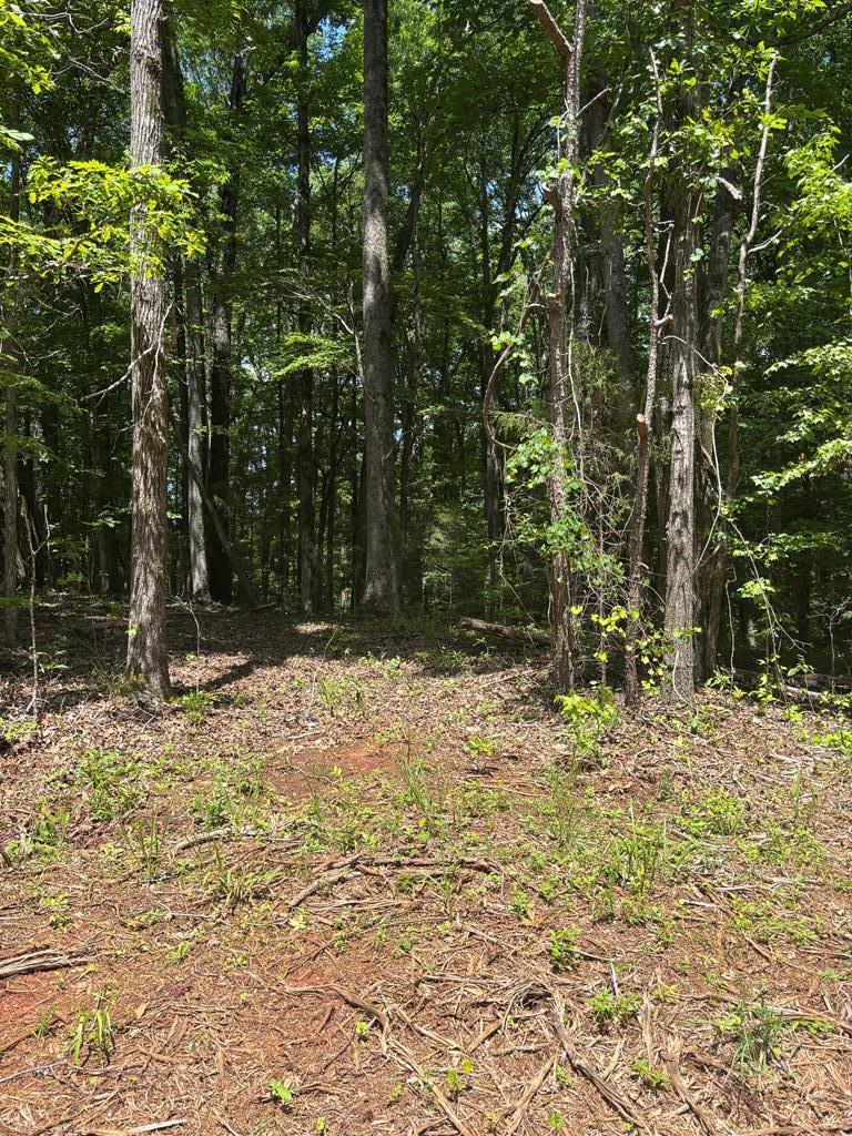 0 North Porter Road Shiloh, GA 31826 - Photo 30 of 32 trail head to SW corner
