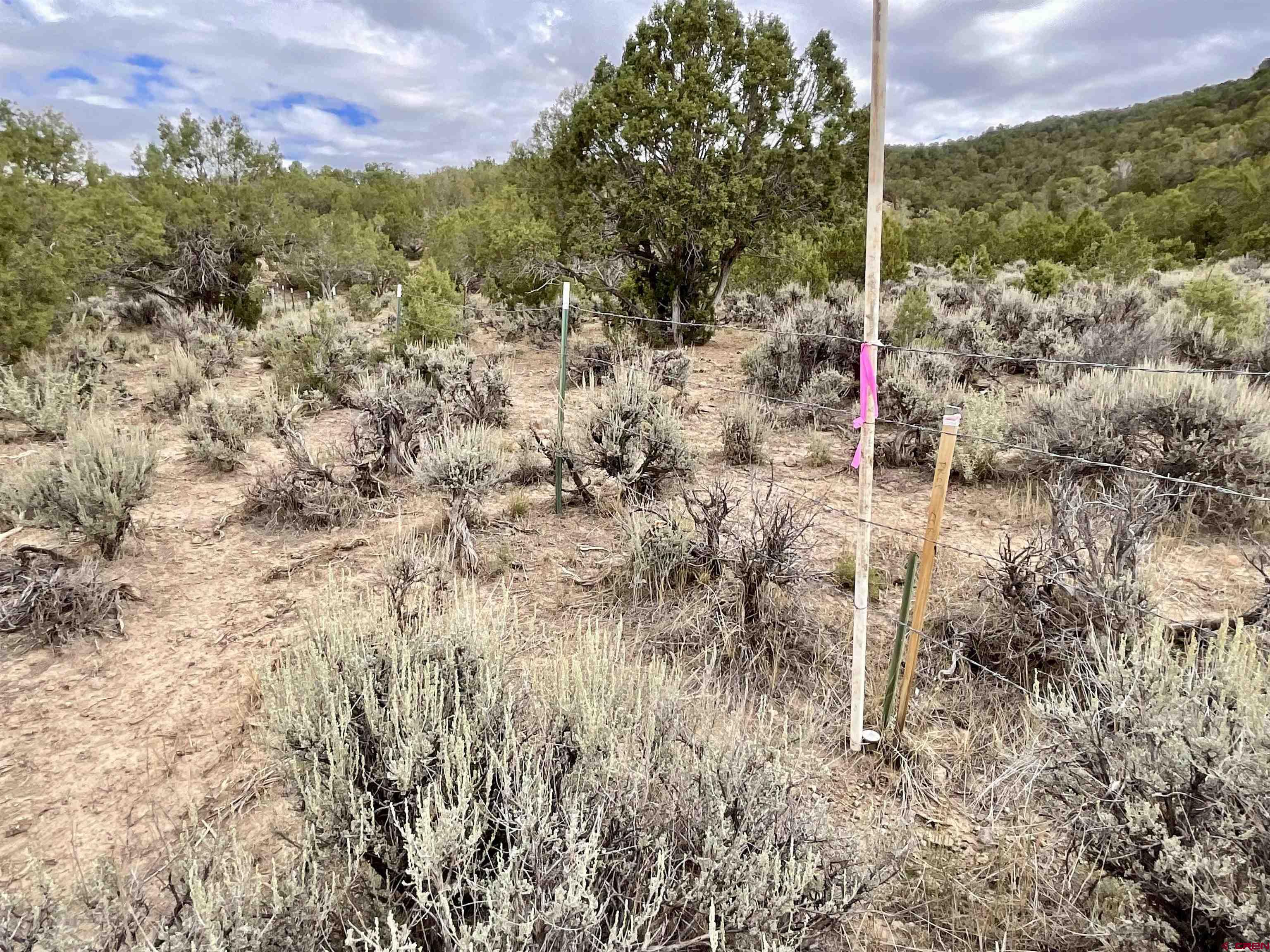 Tbd Lot 22 7250th Road Montrose, CO 81403 - Photo 17 of 25 East of the wire fence is BLM