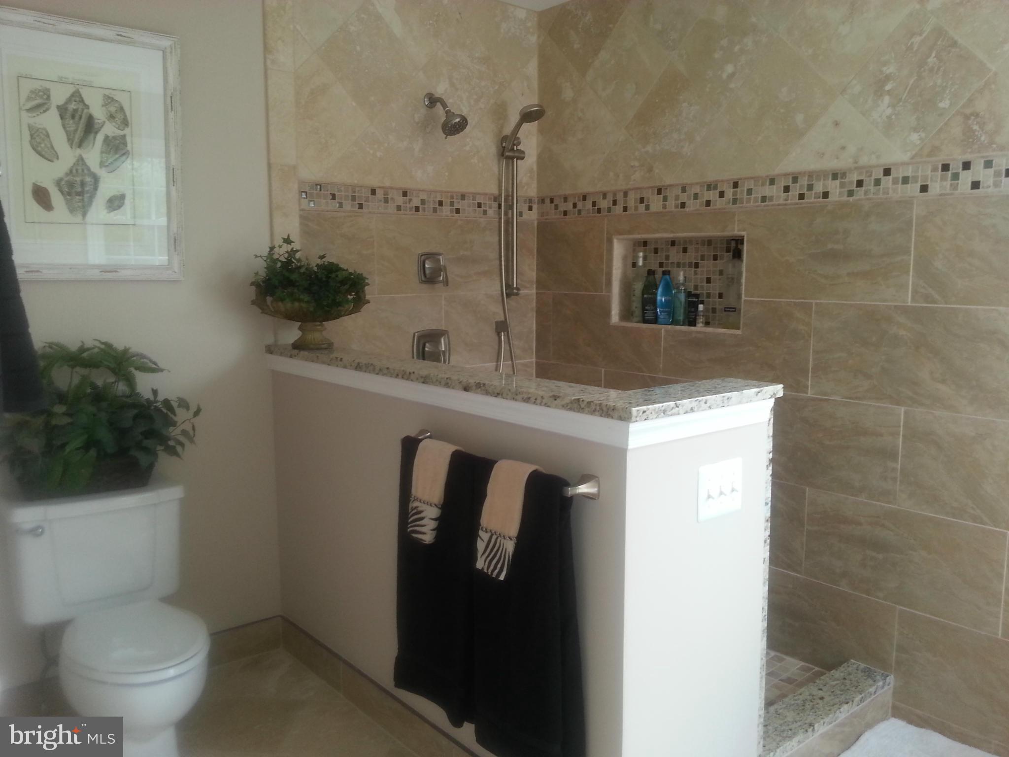 6818 Compton Heights Circle Clifton, VA 20124 - Photo 15 of 26 Bath (Master)