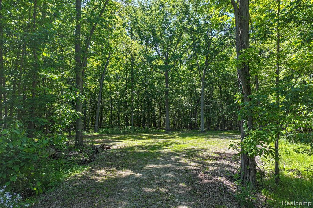 3075 Crandall Road Howell, MI 48855 - Photo 14 of 25