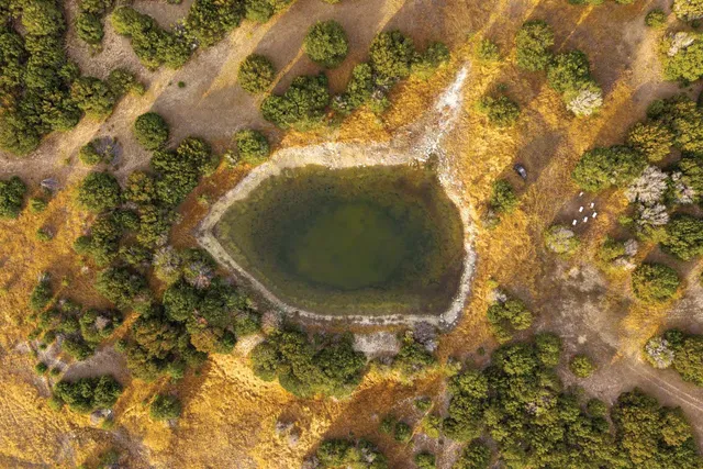 a view of outdoor space and yard