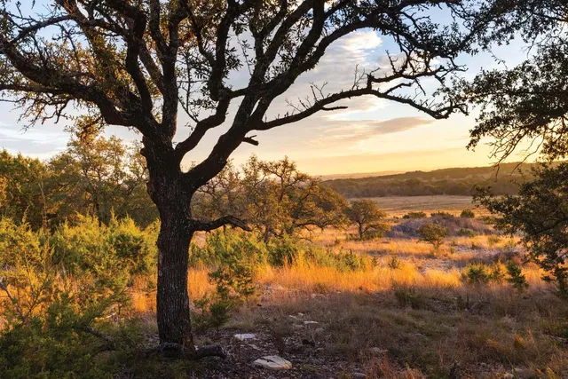 a view of mountain view with lots of trees