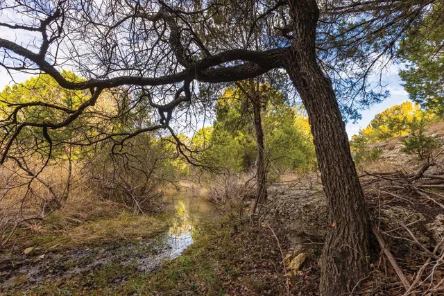 a view of a lake with a mountain in the background