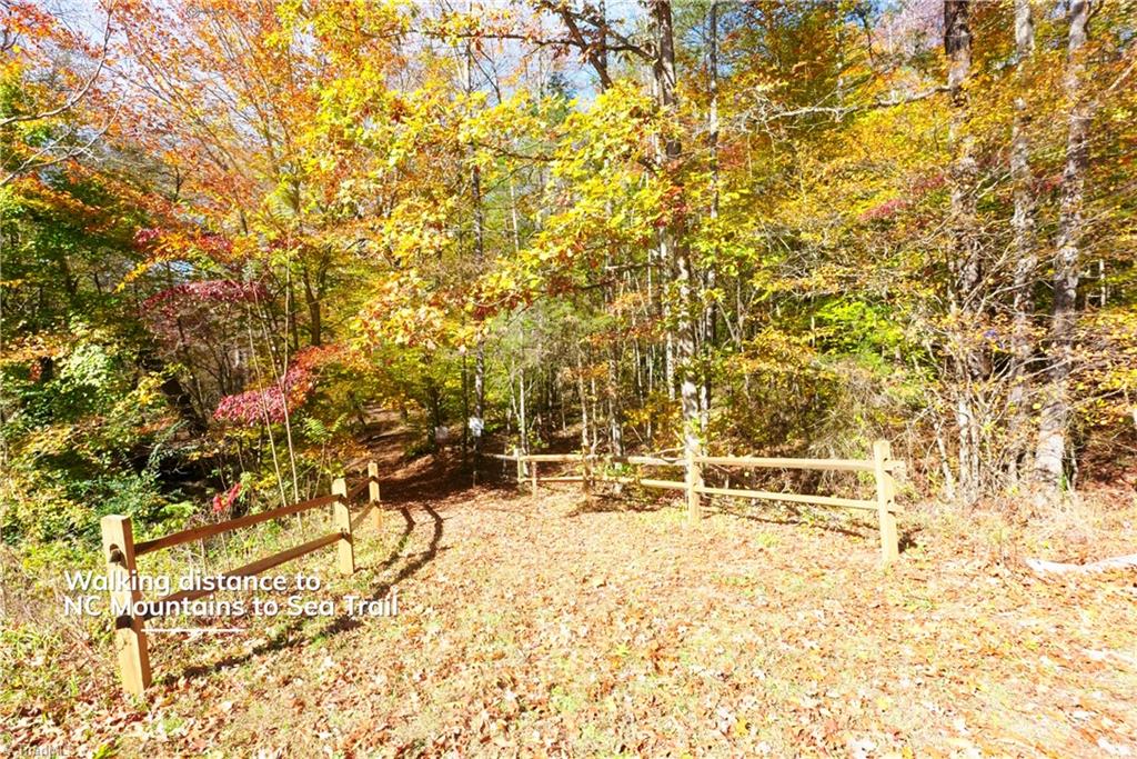 3 Old Mill Road Pinnacle, NC 27043 - Photo 16 of 22