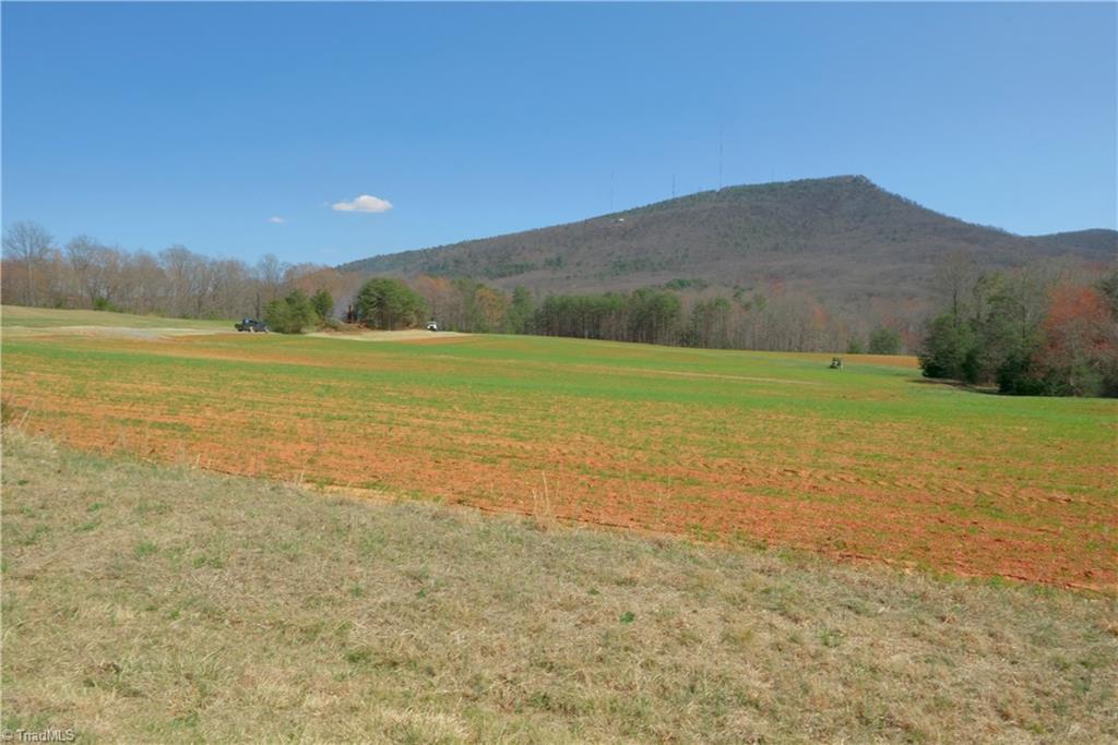 3 Old Mill Road Pinnacle, NC 27043 - Photo 2 of 22