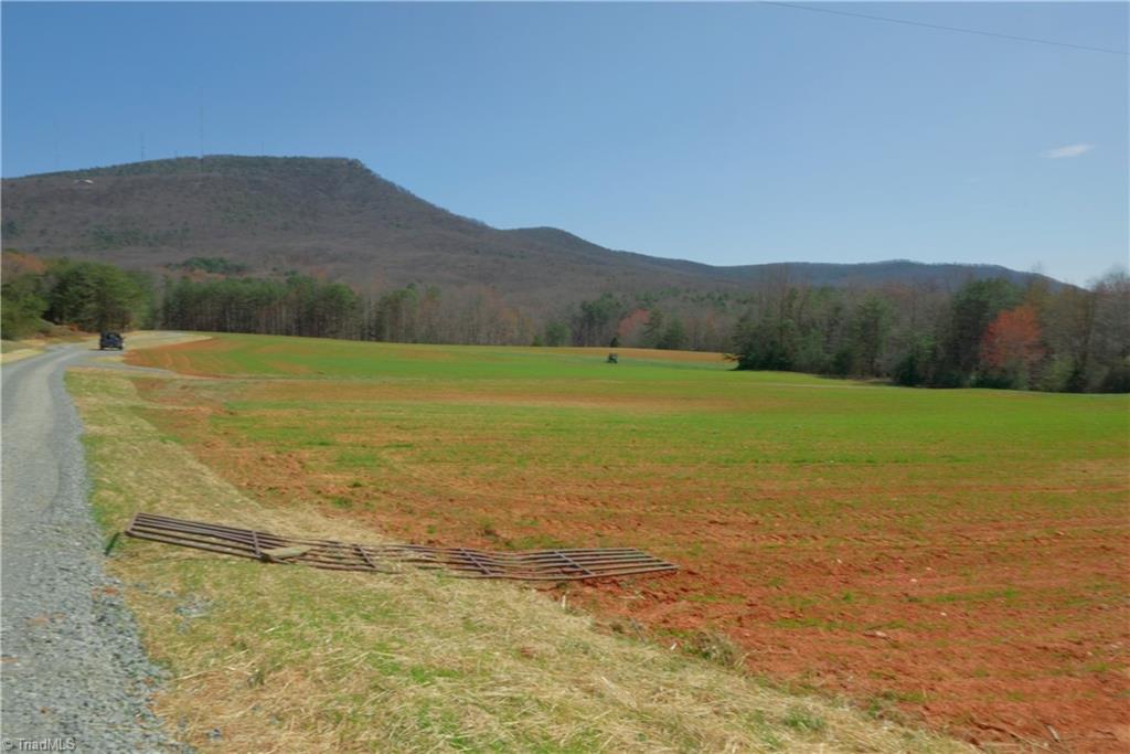3 Old Mill Road Pinnacle, NC 27043 - Photo 7 of 22