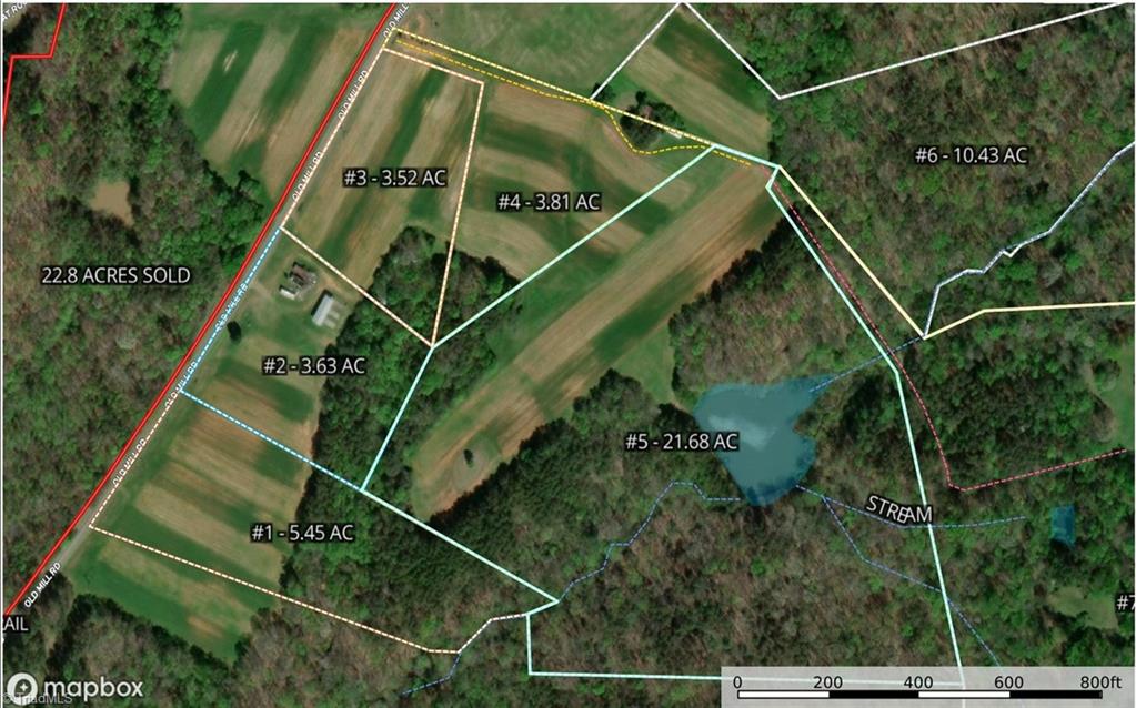 3 Old Mill Road Pinnacle, NC 27043 - Photo 8 of 22