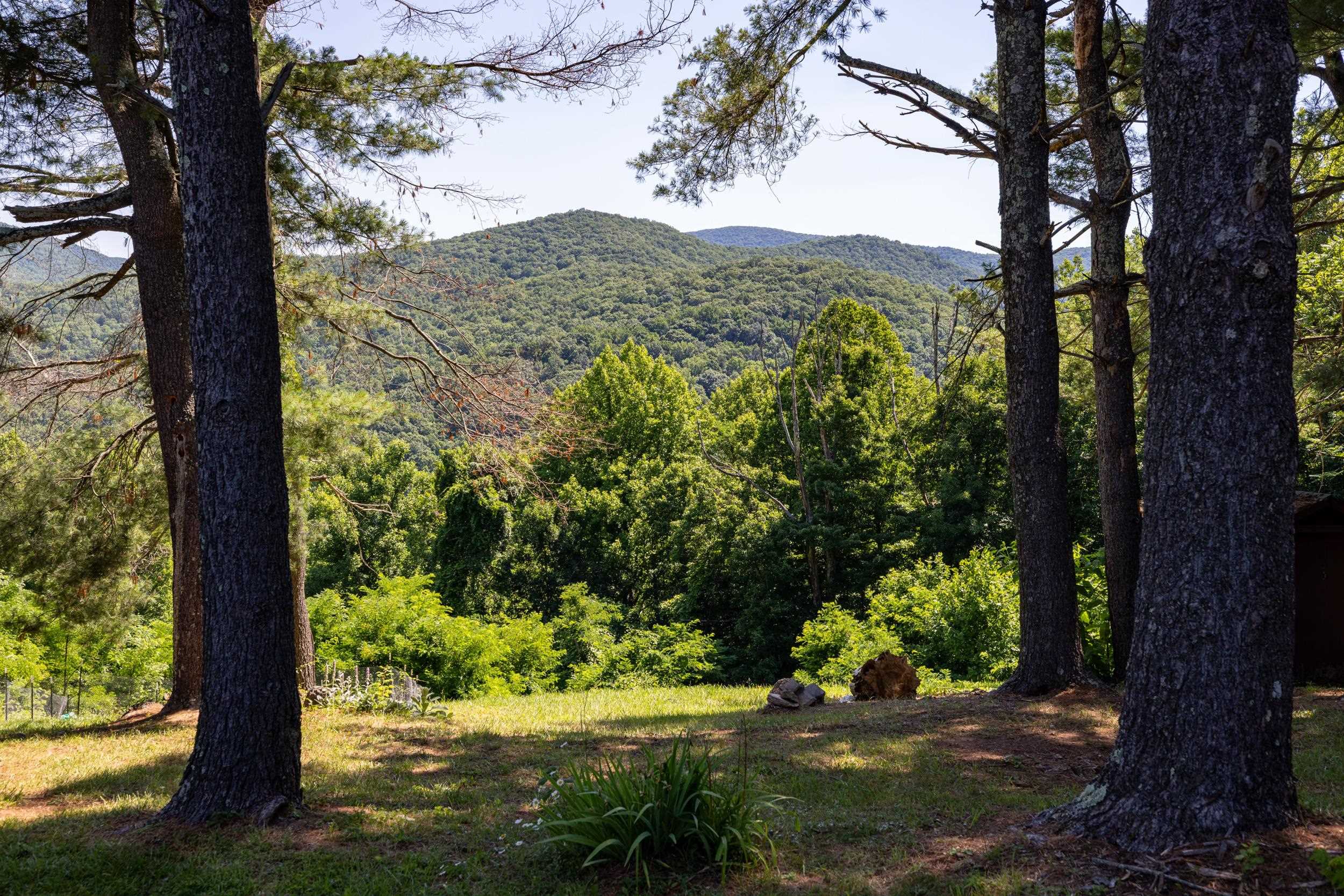 1093 Overlook Mountain Road Elkton, VA 22827 - Photo 4 of 63