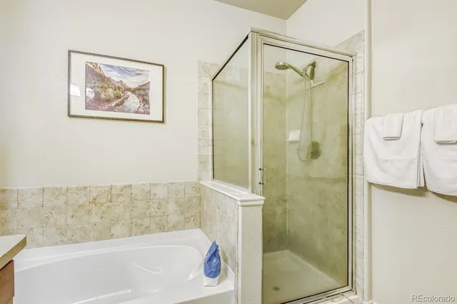 a bathroom with a bathtub and a shower