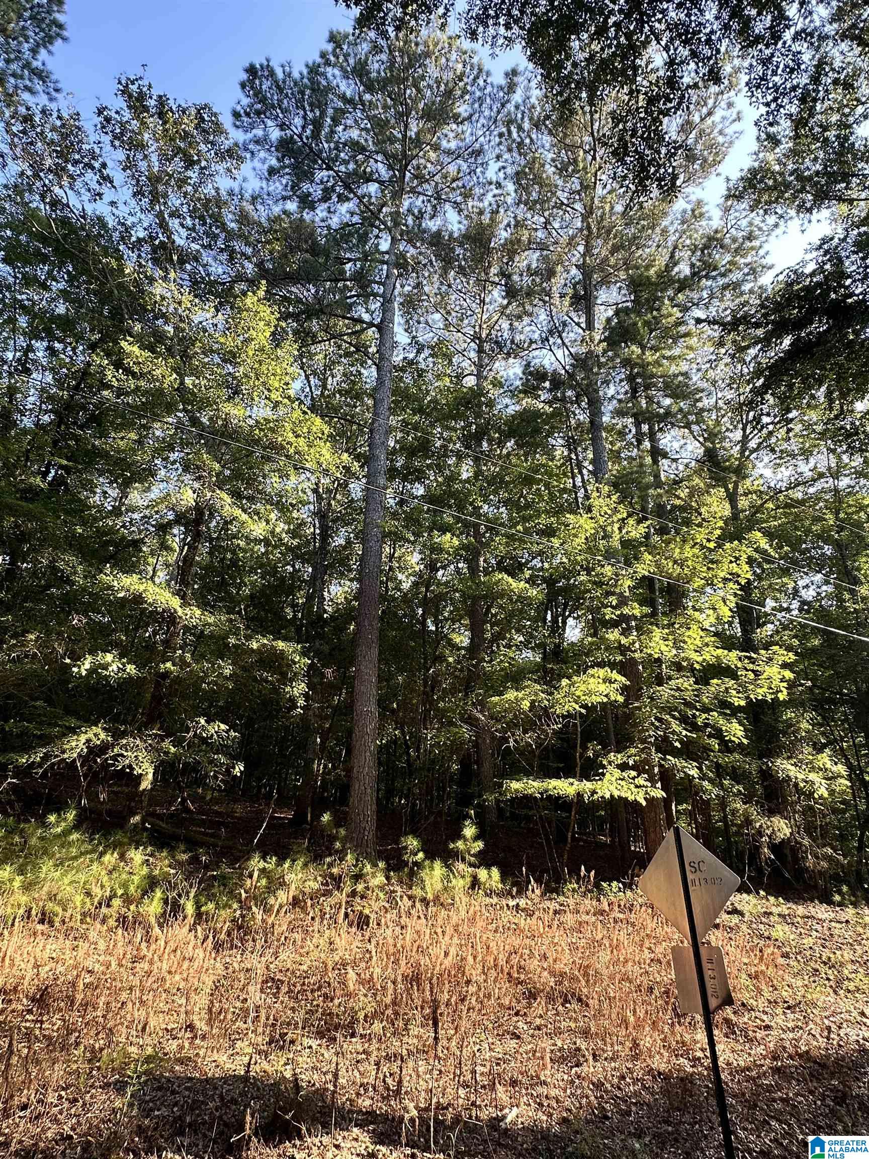 500 Black Acres Road, Unit 27 Cropwell, AL 35054 - Photo 15 of 25