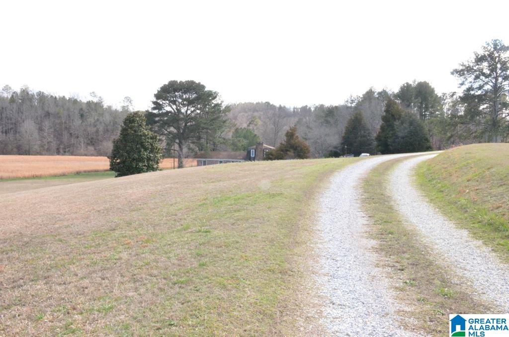 6477 Berney Station Road Talladega, AL 35160 - Photo 5 of 50
