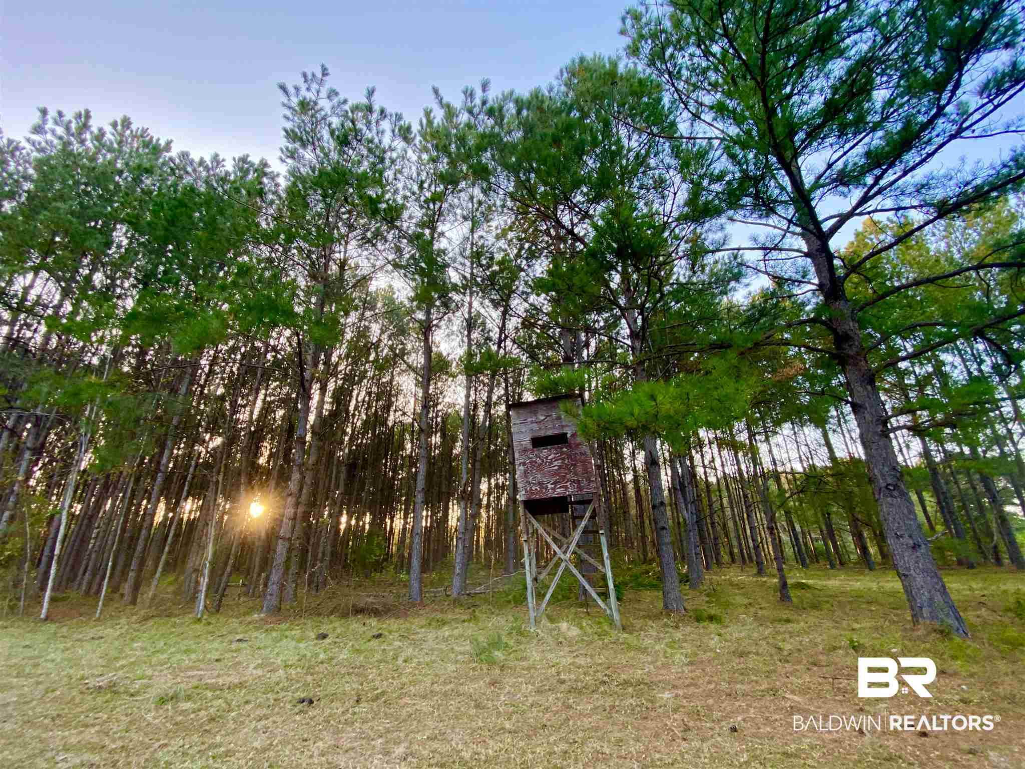 0 Country Road Fruitdale, AL 36539 - Photo 27 of 47