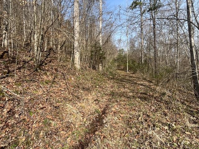 326 Earl Crisp Road Sandy Hook, KY 41171 - Photo 9 of 10