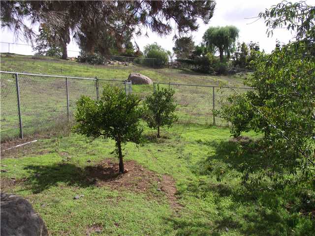 1691 Roble Grande Road Alpine, CA 91901 - Photo 3 of 3 Lemon tree in side yard