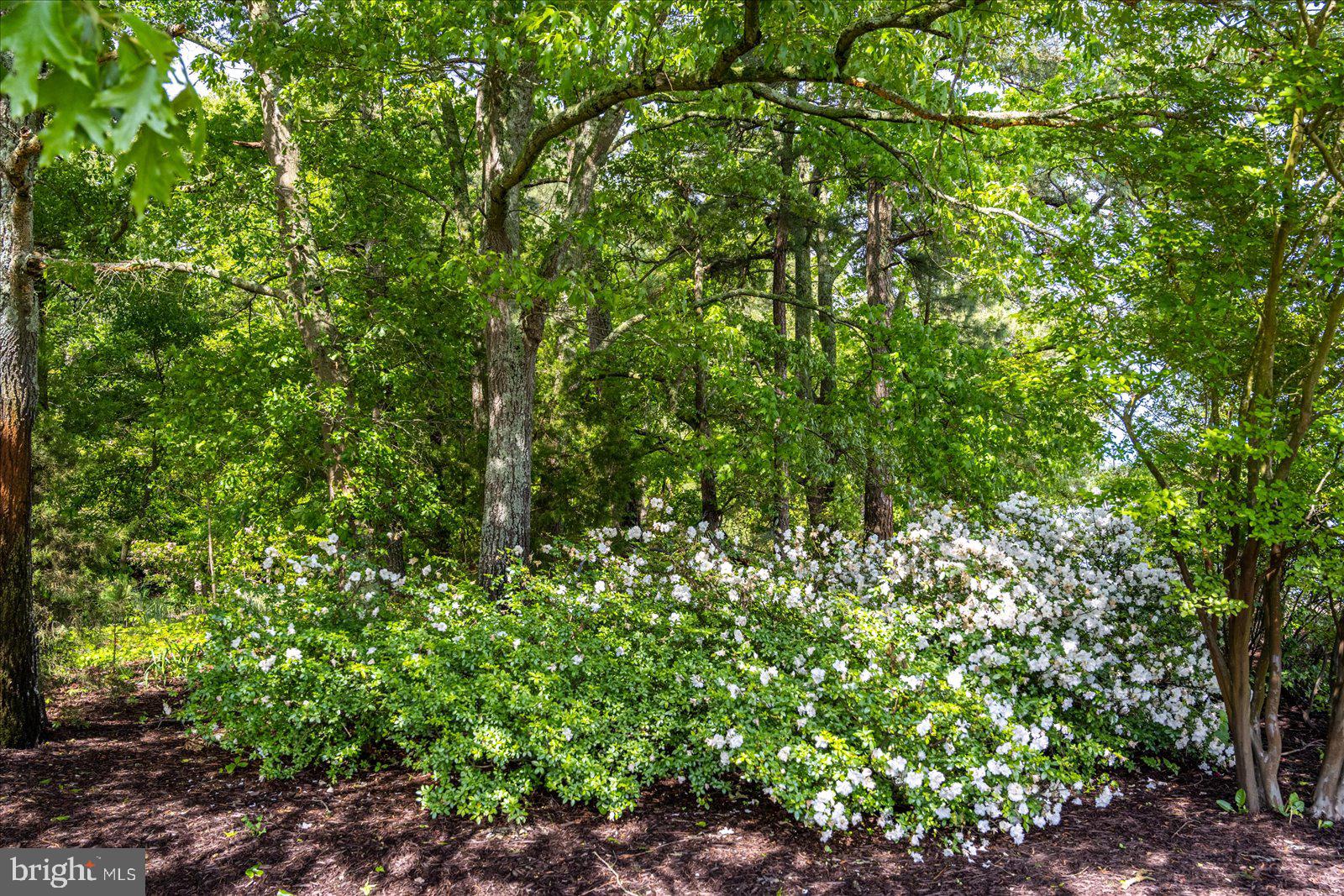 4488 Cooper Road Eden, MD 21822 - Photo 41 of 141 Gallery Image 41