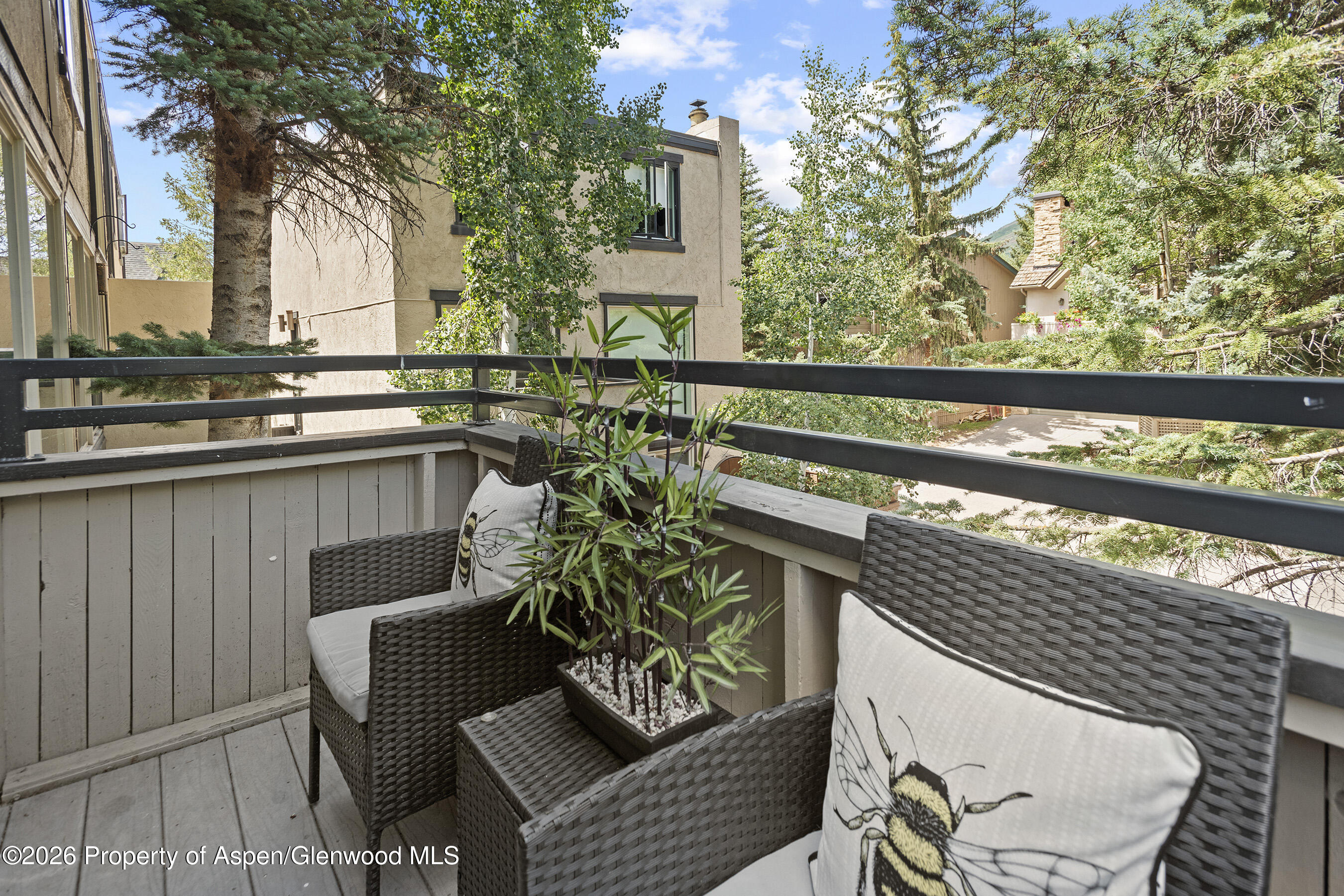 1024 East Cooper Avenue, Unit 2 Aspen, CO 81611 - Photo 25 of 25 Deck