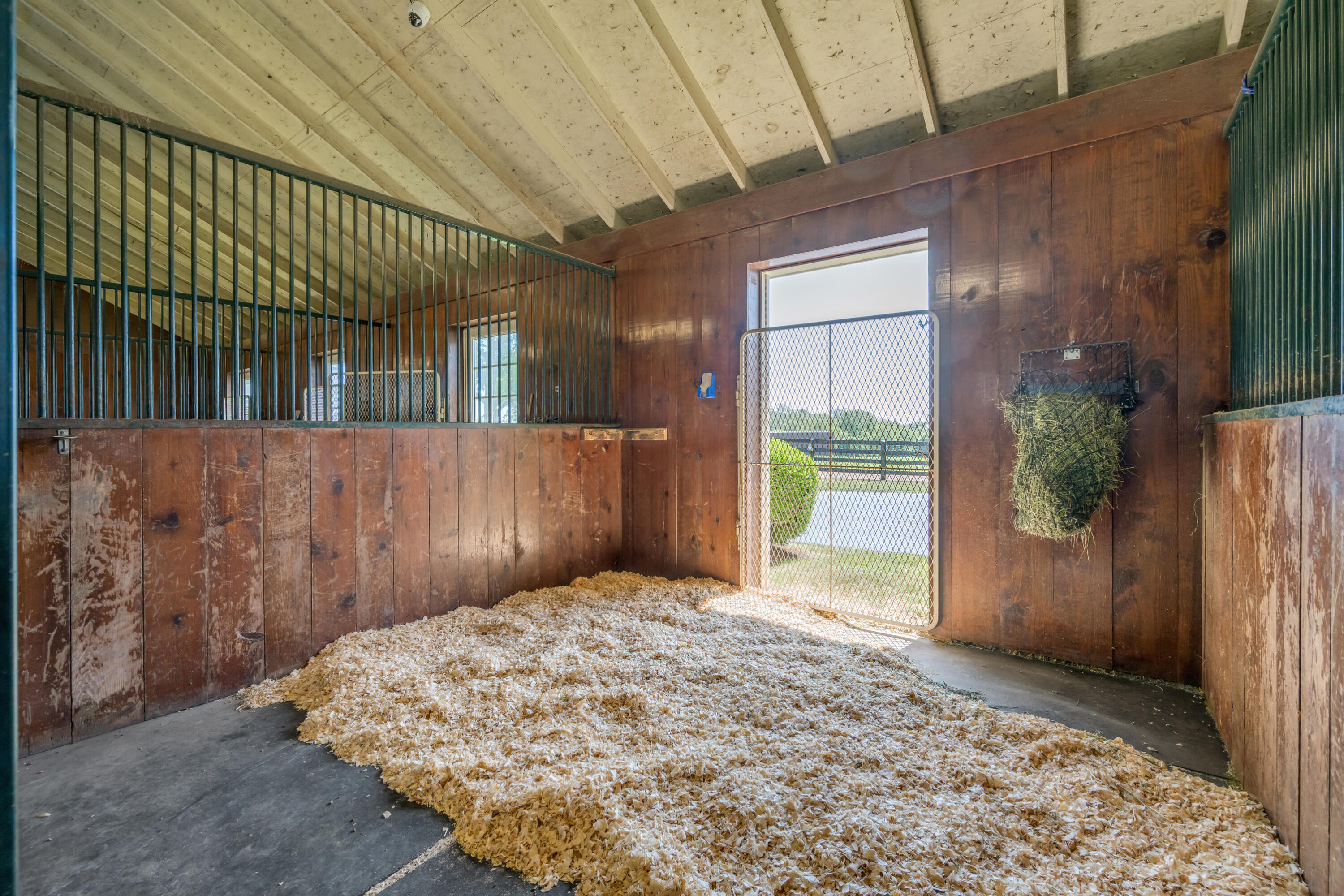 595 Moores Mill Road Midway, KY 40347 - Photo 102 of 149 TDB_3098