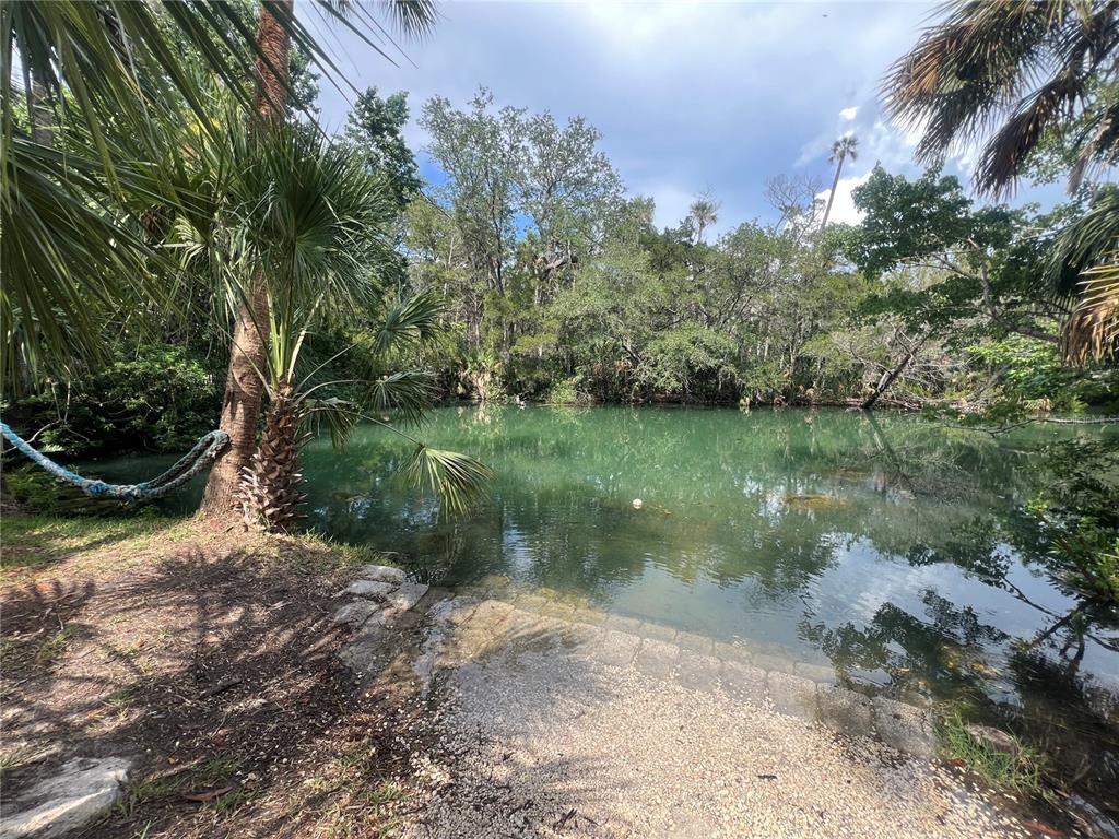 6241 Colony Circle Weeki Wachee, FL 34607 - Photo 5 of 69