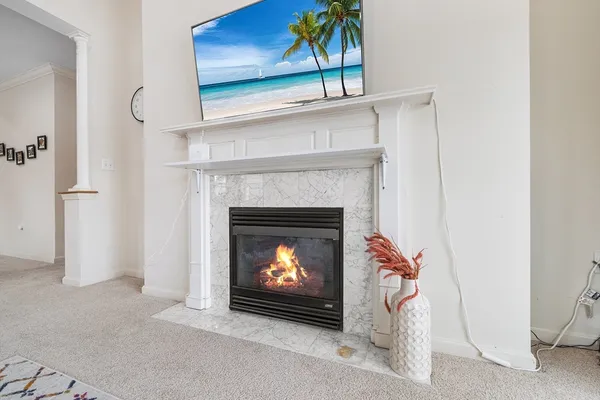 a living room with a fireplace and a potted plant