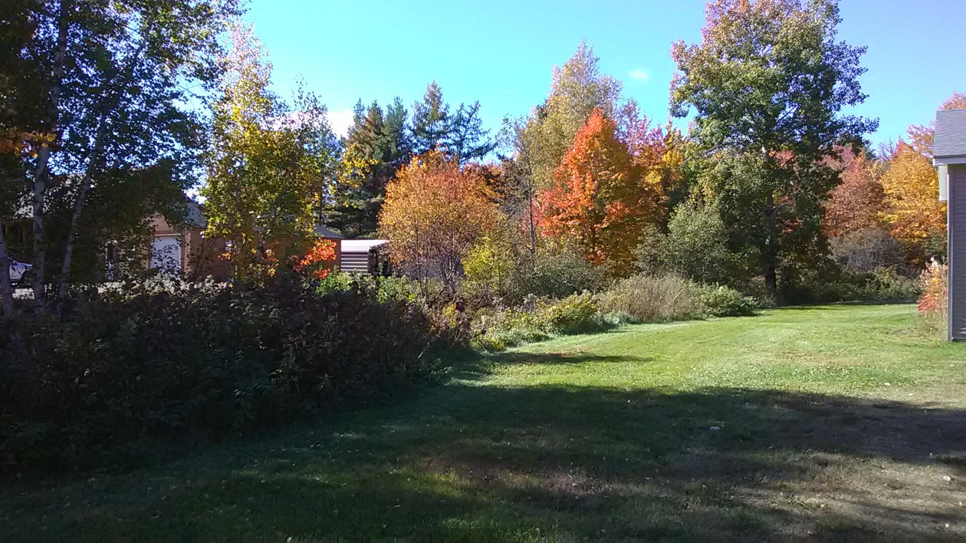 1354 Southgate Road Old Town, ME 04468 - Photo 50 of 51 AB4AA343-6A50-41DB-86A1-B66DBC4C21F2