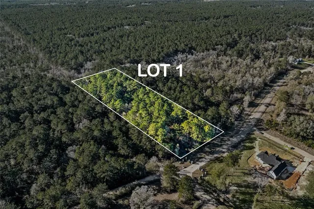 $270,000 | 12505 Goldentop Drive, Covington, LA 70433