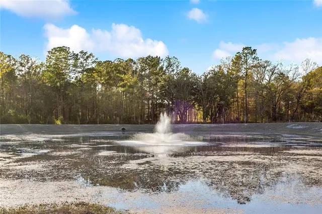 $270,000 | 12505 Goldentop Drive, Covington, LA 70433