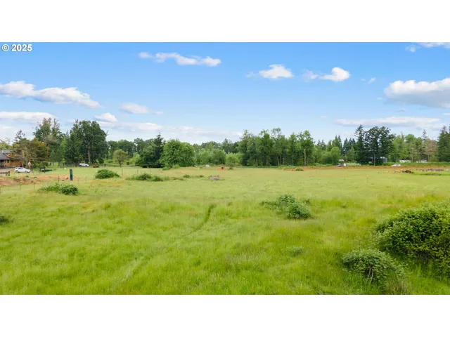 a open area with green field and trees in the background