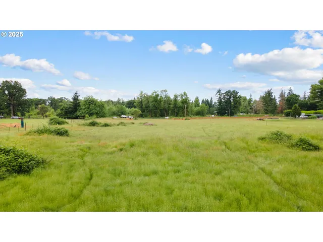 a open area with green field and trees in the background