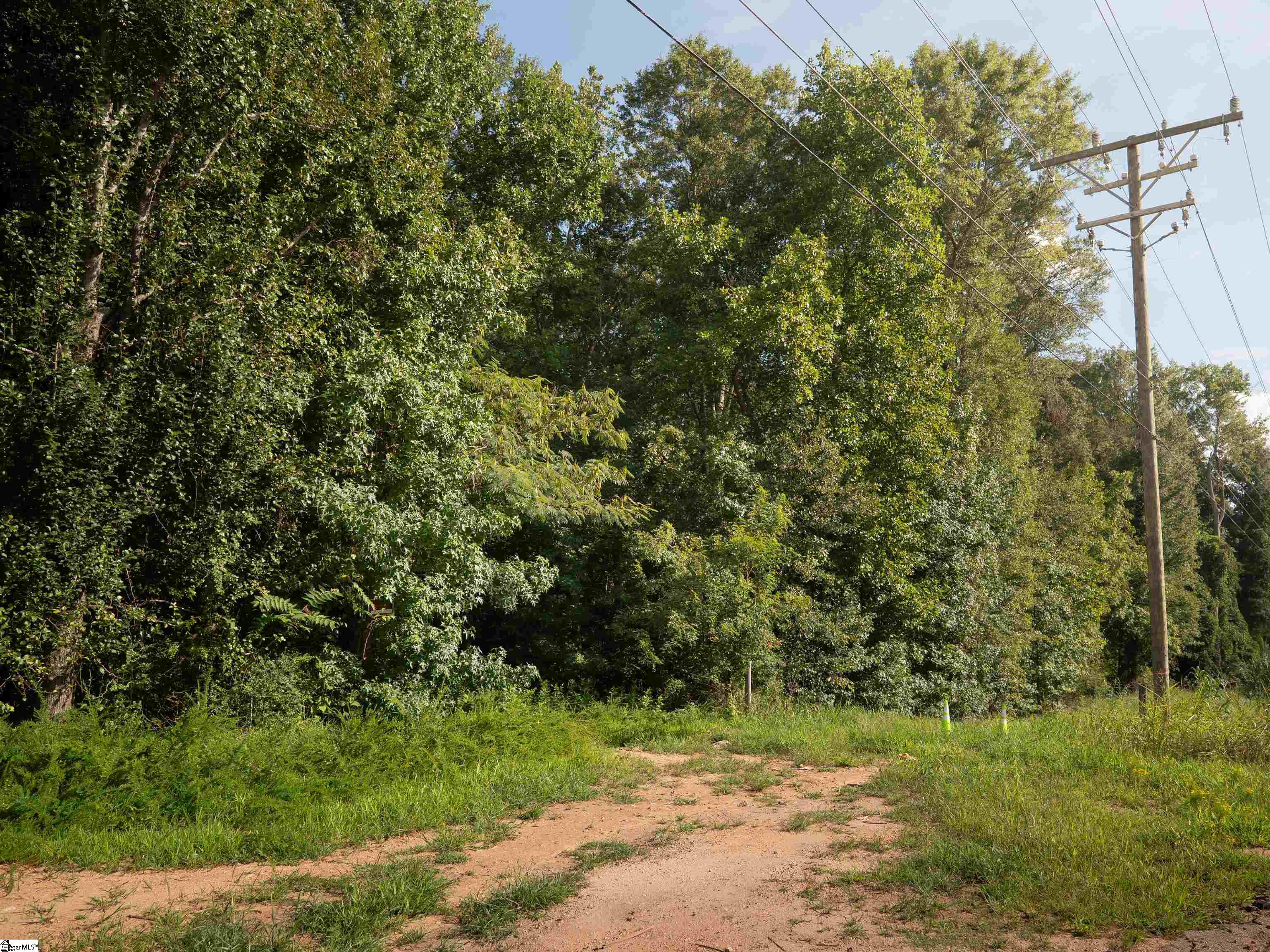 0 West Georgia Road Simpsonville, SC 29680 - Photo 2 of 18