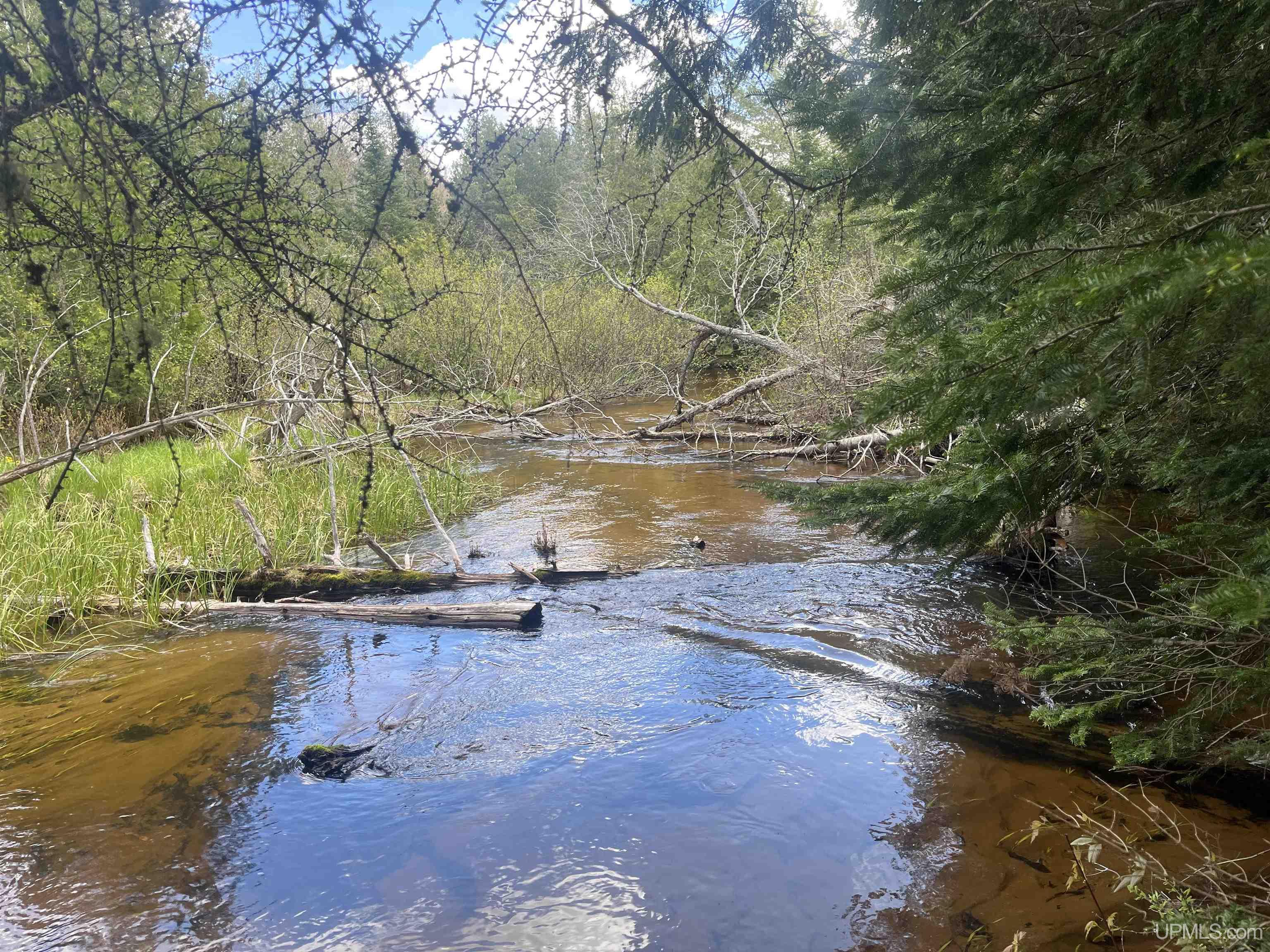 450 Rd Seney Mi 49883 Road Seney, MI 49883 - Photo 1 of 33