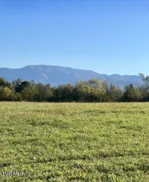 185 Lester Snapp Road, Unit LOT 1 Limestone, TN 37681 - Photo 1 of 13 185 Lester Snapp - Mtn View