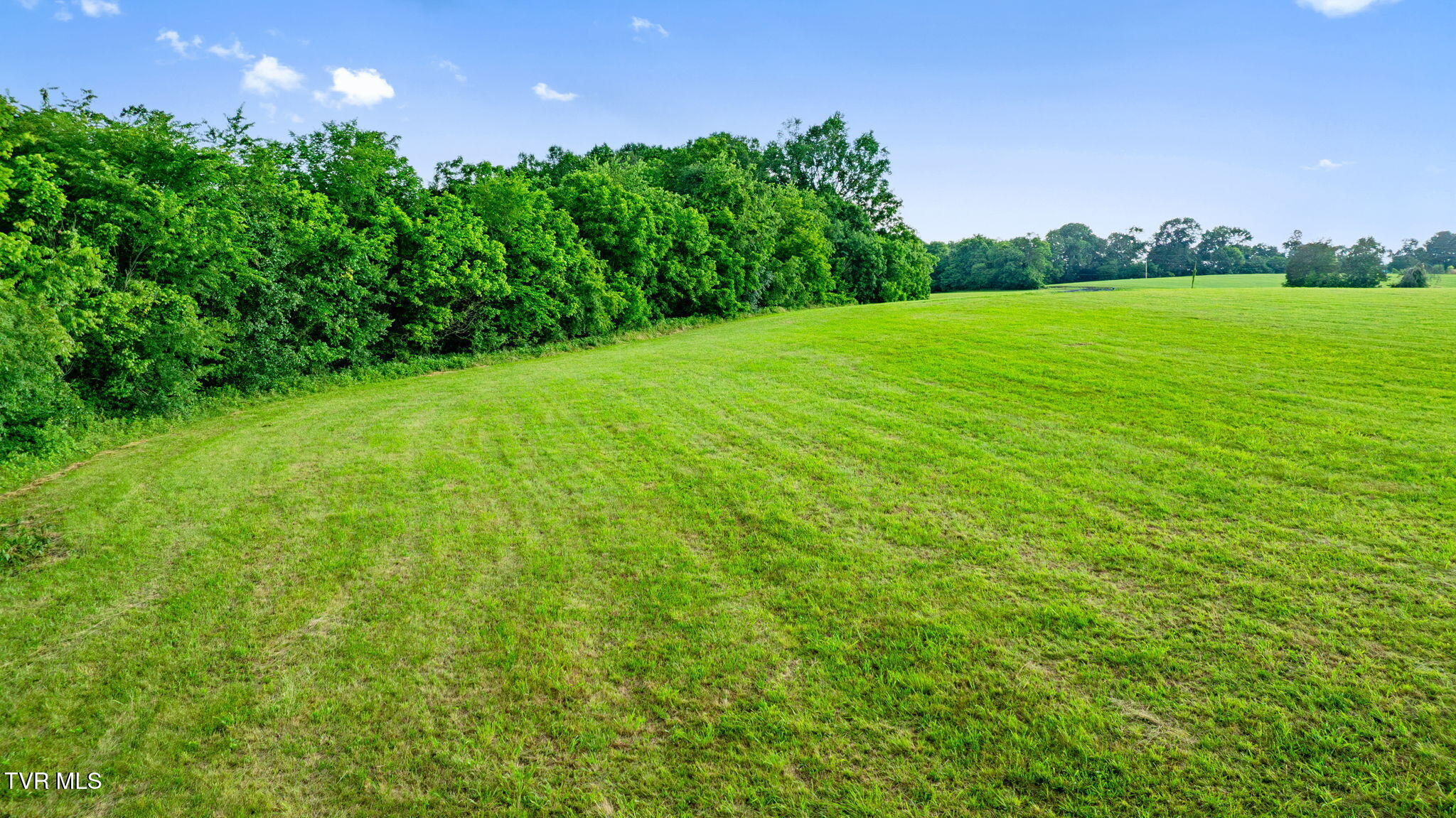 185 Lester Snapp Road, Unit LOT 1 Limestone, TN 37681 - Photo 6 of 13 003