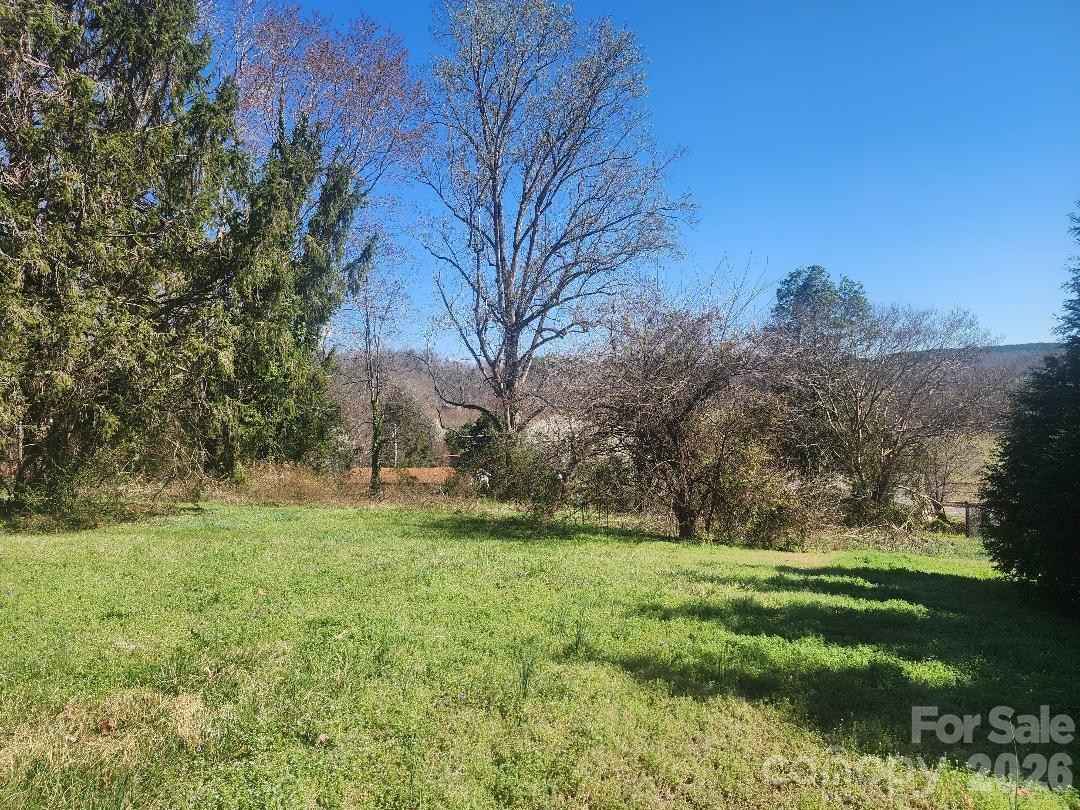 203 Brentwood Road, Unit 61 Morganton, NC 28655 - Photo 10 of 11 a view of grassy field with trees