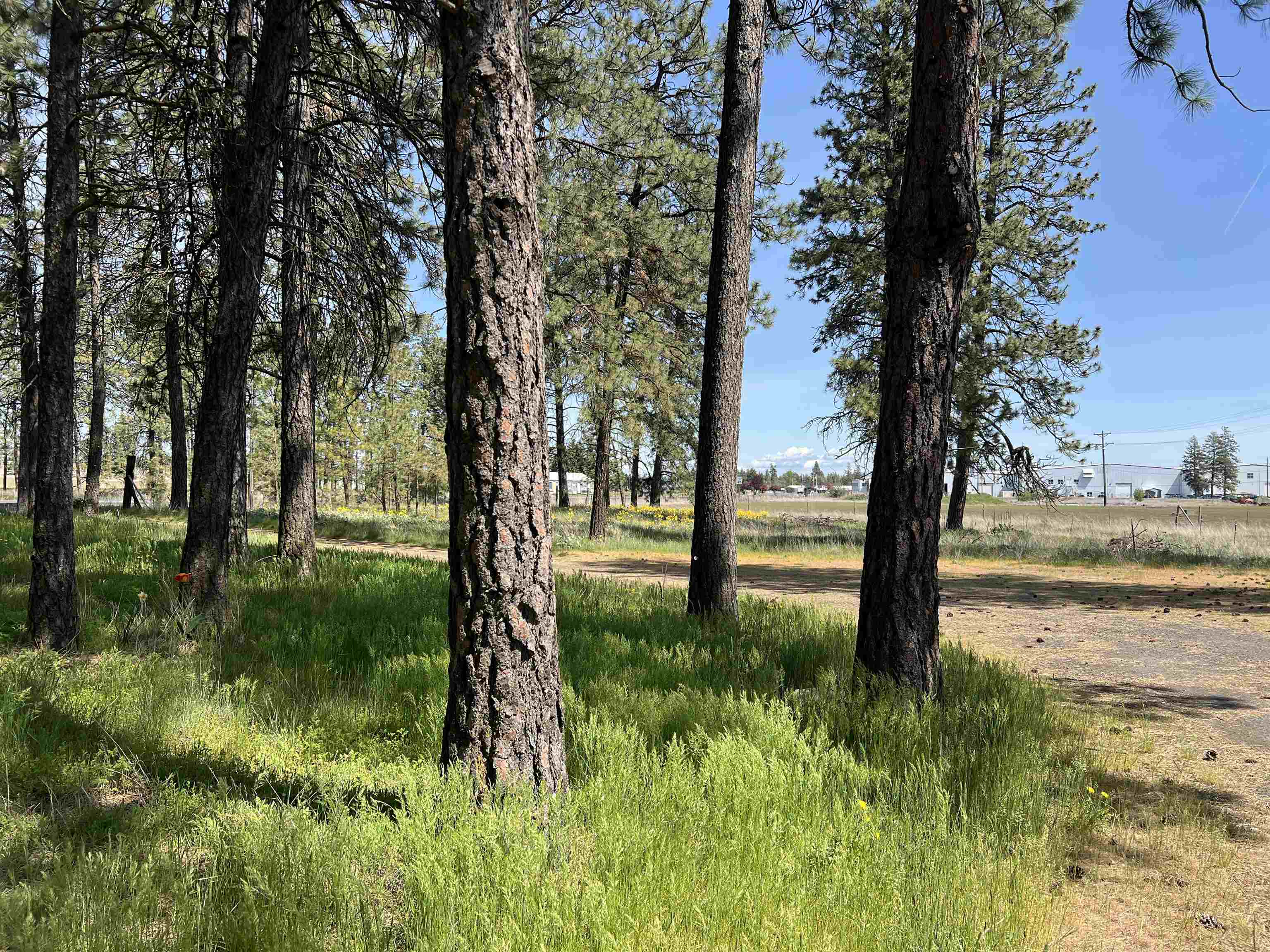 14313 Highway 904 Cheney, WA 99004 - Photo 38 of 49