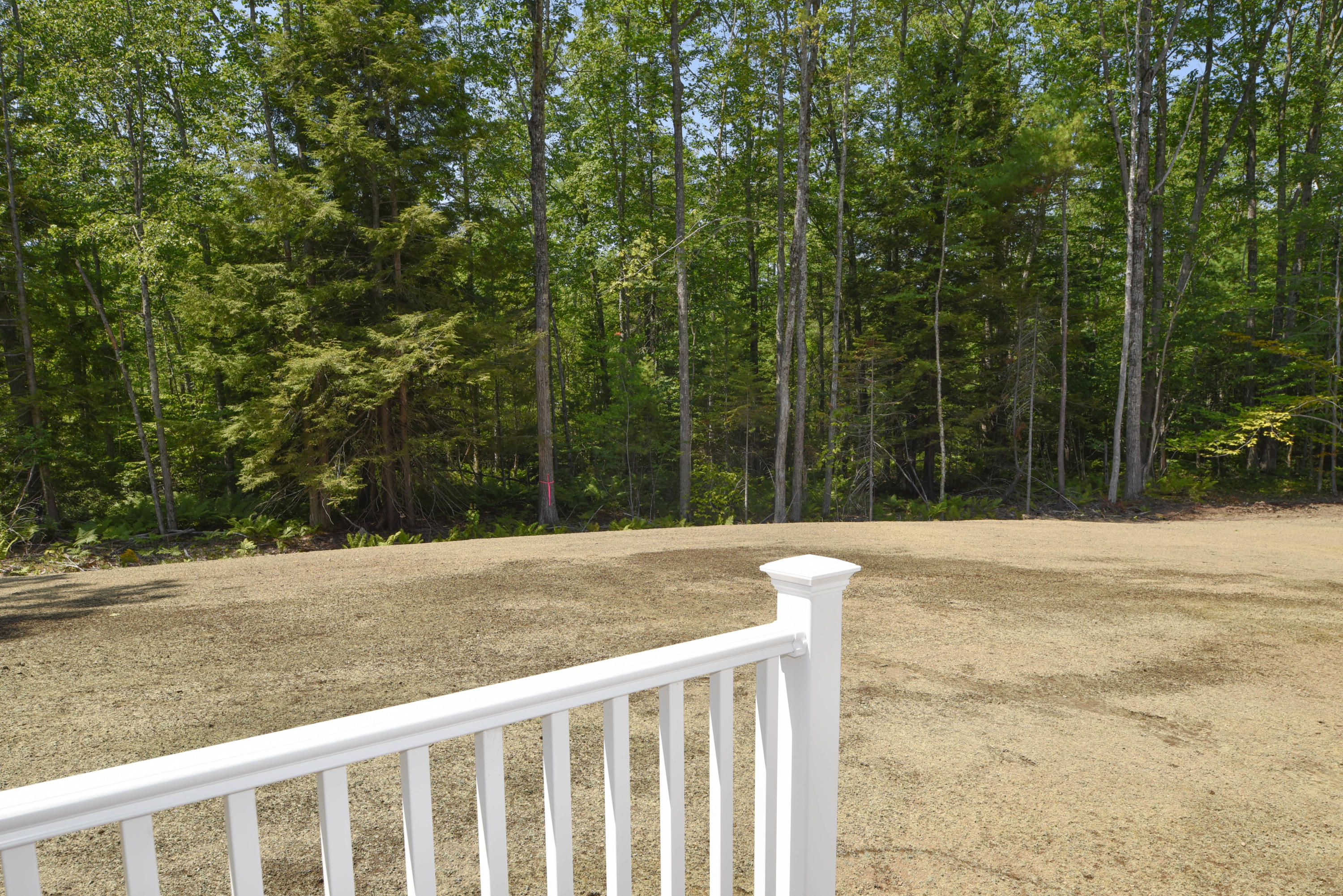 272 Blackstrap Road Falmouth, ME 04105 - Photo 58 of 69 Seeded yard