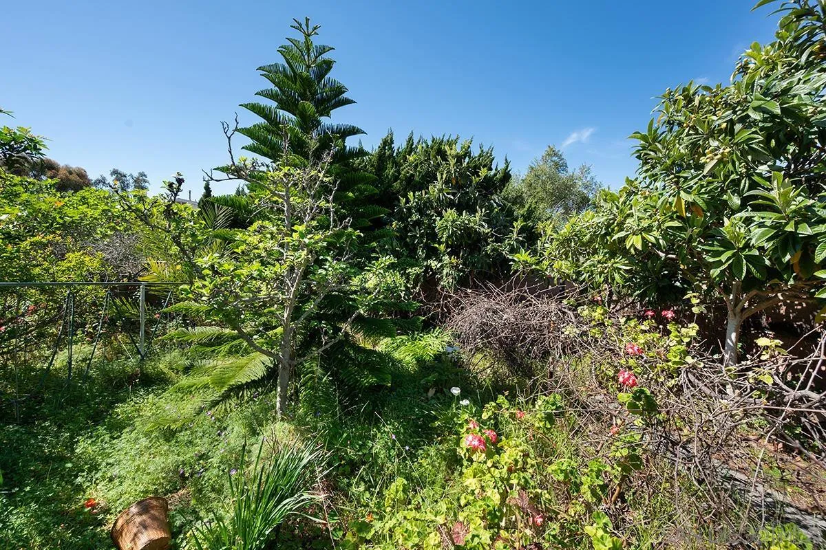 2491 Cordero Road Del Mar, CA 92014 - Photo 42 of 50