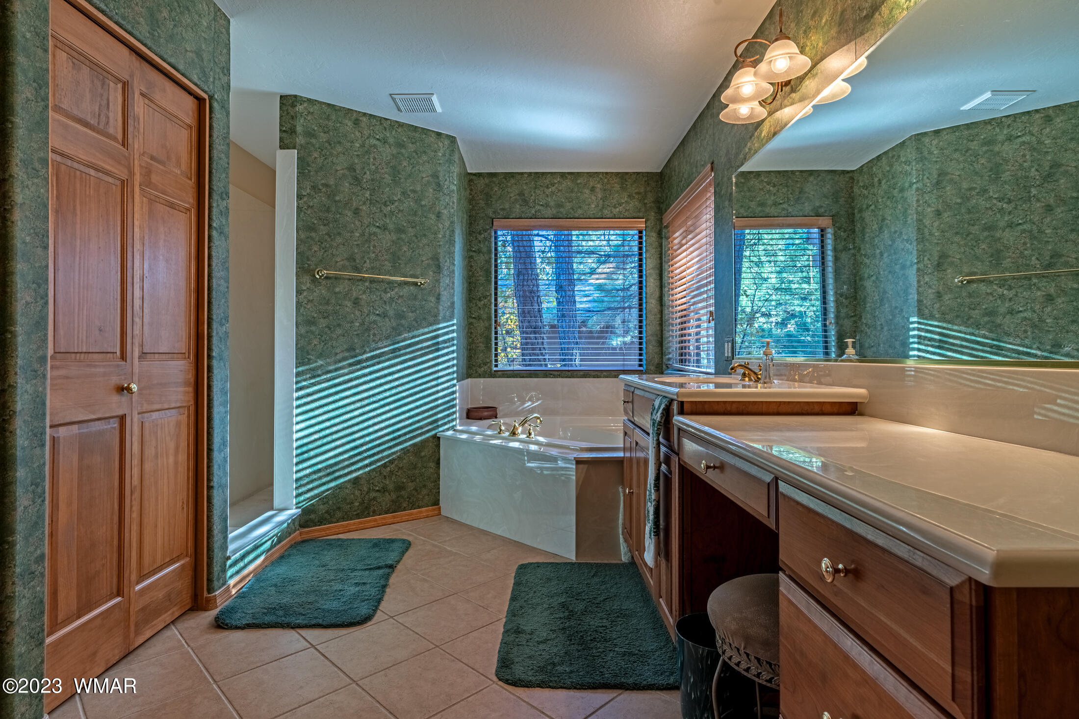 81 Silk Tassel Road Show Low, AZ 85901 - Photo 8 of 39