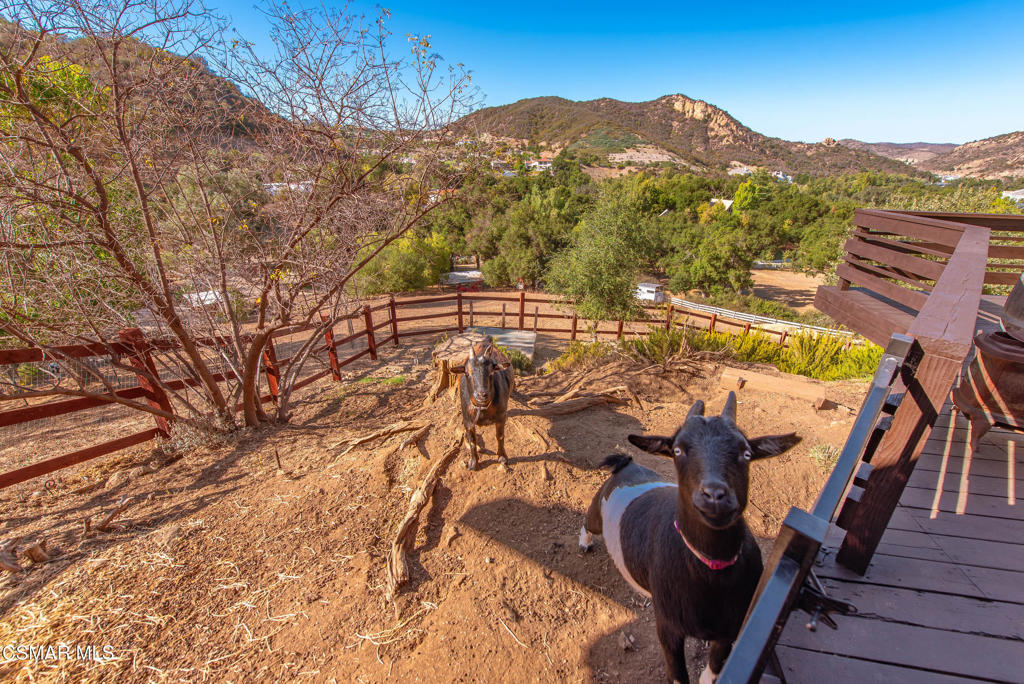 356 East Carlisle Road Thousand Oaks, CA 91361 - Photo 41 of 74
