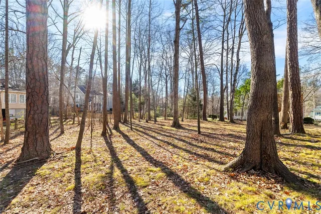 $489,950 | 2411 Chimney House Terrace, Midlothian, VA 23112