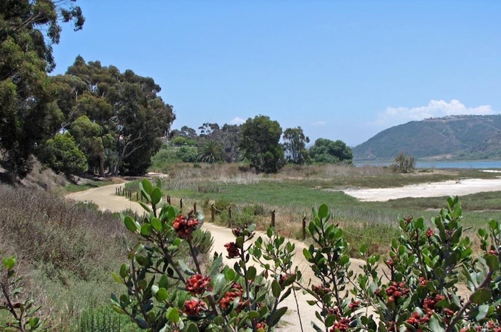 1368 Corvidae Street Carlsbad, CA 92011 - Photo 38 of 38 a view of a lake with a yard