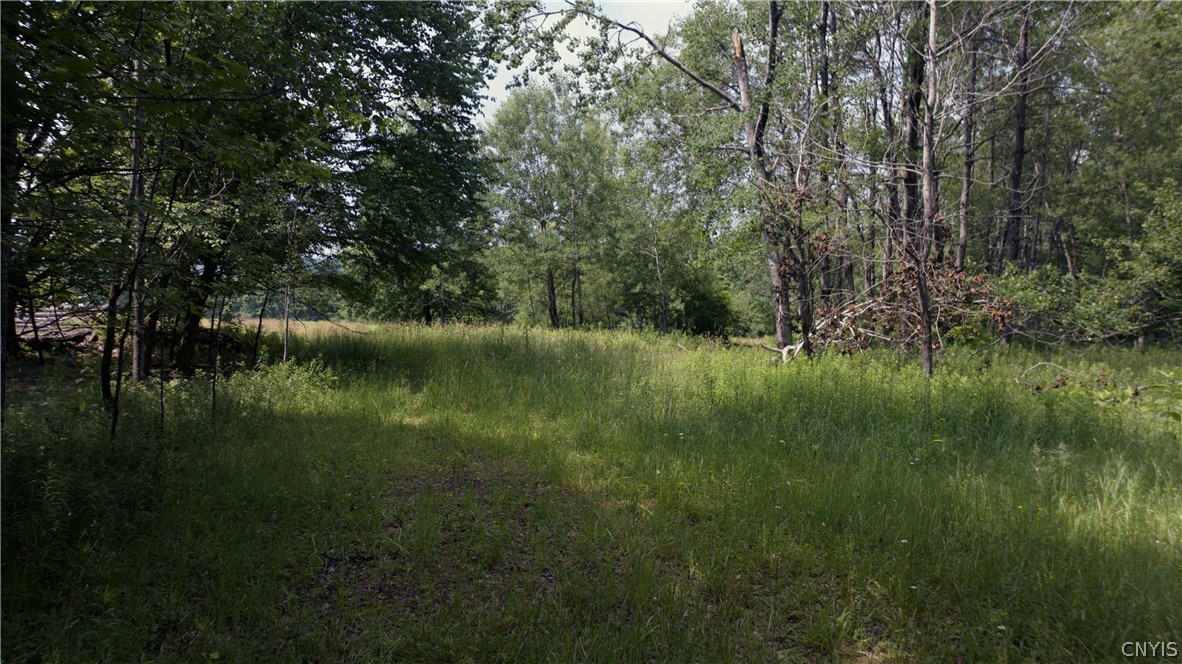 137 Windham Road Smithville, NY 13778 - Photo 15 of 20