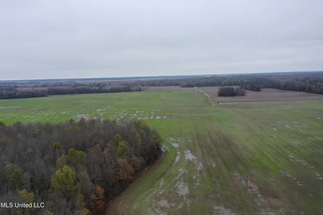$1,250,000 | 2000 Walnut Lake Road, Dundee, MS 38626