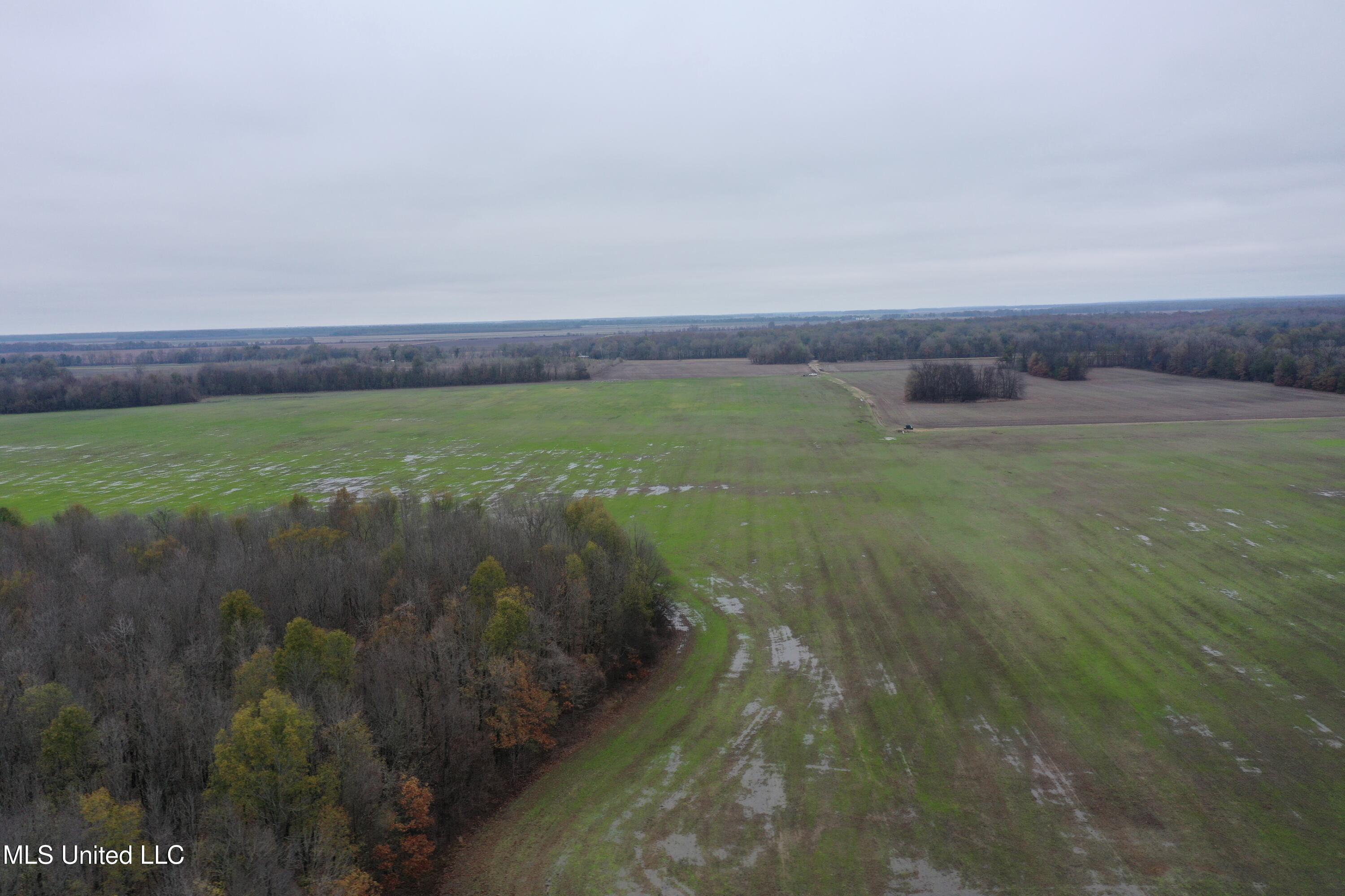 2000 Walnut Lake Road Dundee, MS 38626 - Photo 12 of 34 DJI_0707
