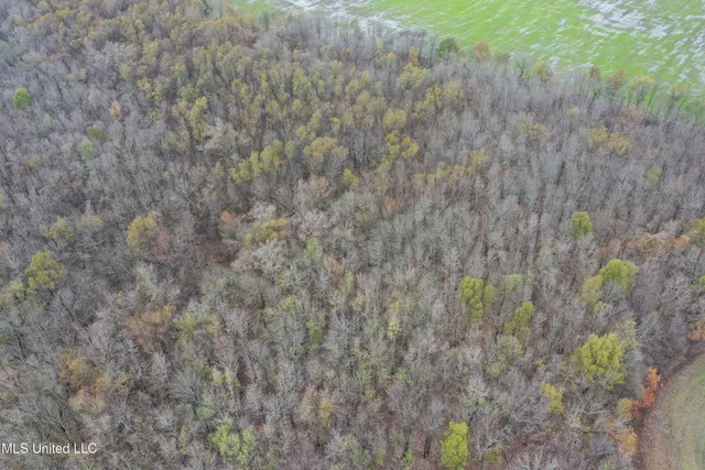 $1,250,000 | 2000 Walnut Lake Road, Dundee, MS 38626