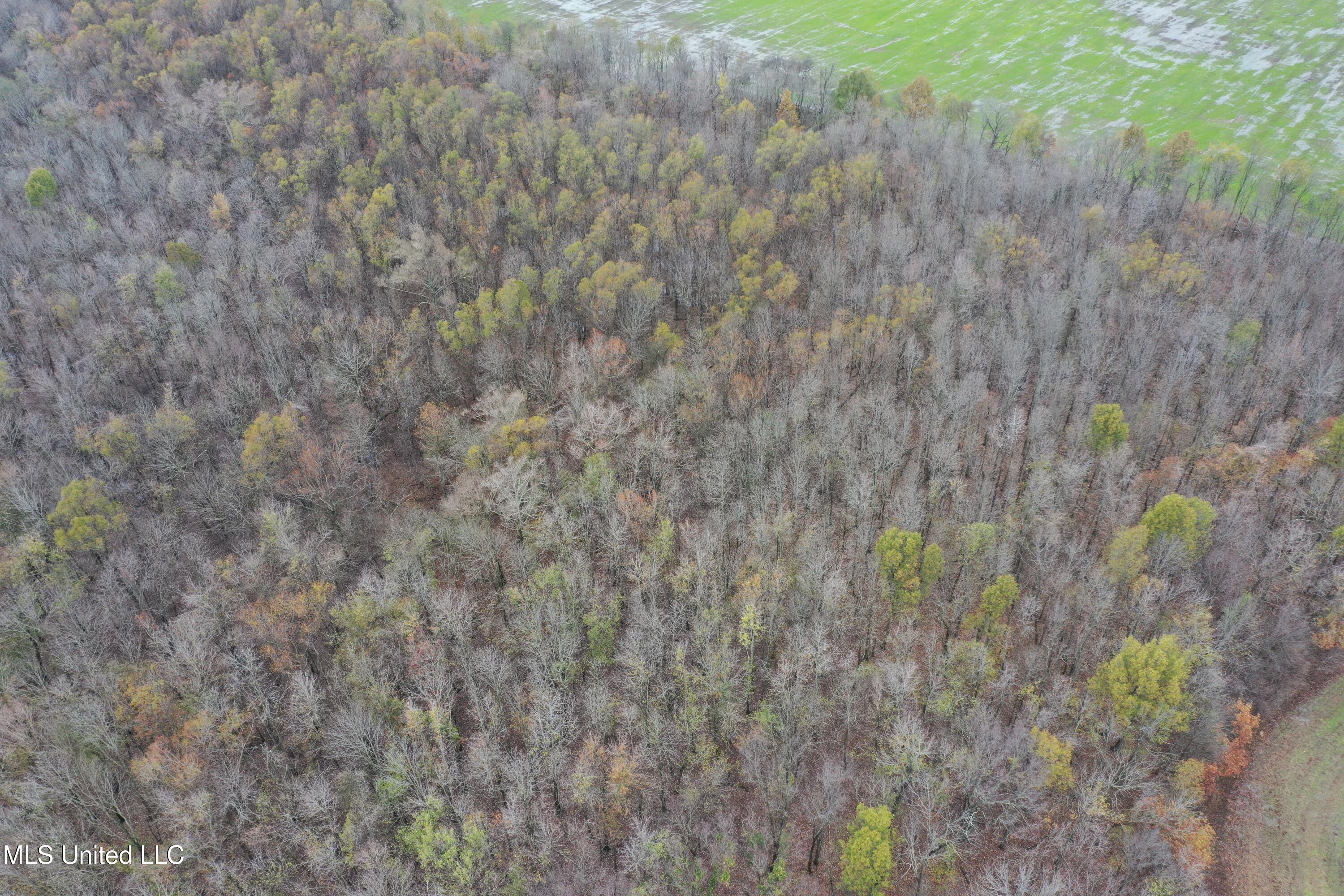 2000 Walnut Lake Road Dundee, MS 38626 - Photo 13 of 34 DJI_0708